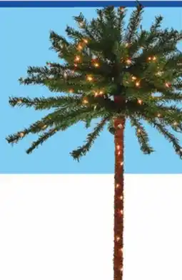 Boscov's 7-Ft. Pre-Lit Palm Tree offer