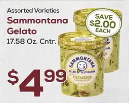 DeCicco & Sons Sammontana Gelato offer