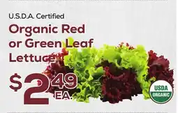 DeCicco & Sons Organic Red or Green Leaf Lettuce offer