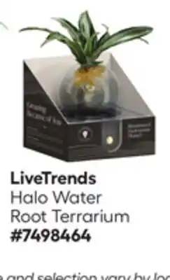 Lowe's Halo Water Root Terrarium offer