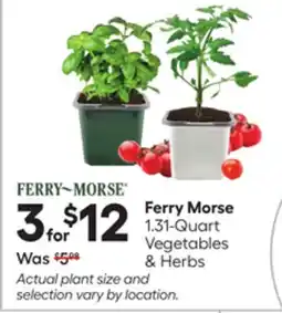 Lowe's 1.31-Quart Vegetables & Herbs offer