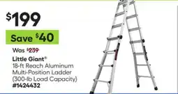 Lowe's 18-ft Reach Aluminum Multi-Position Ladder offer