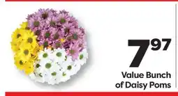 Weis Markets Value Bunch of Daisy Poms offer