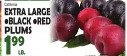 Bravo Supermarkets EXTRA LARGE BLACK • RED PLUMS offer