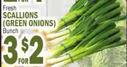 Bravo Supermarkets Fresh SCALLIONS (GREEN ONIONS) Bunch offer