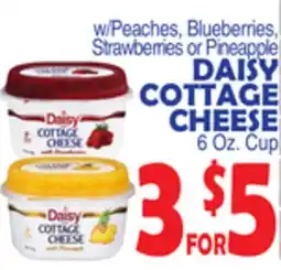 Bravo Supermarkets DAISY COTTAGE CHEESE offer
