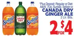 Bravo Supermarkets CANADA DRY GINGER ALE offer