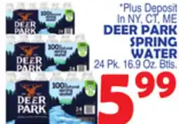 Bravo Supermarkets DEER PARK SPRING WATER offer