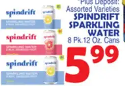 Bravo Supermarkets SPINDRIFT SPARKLING WATER offer