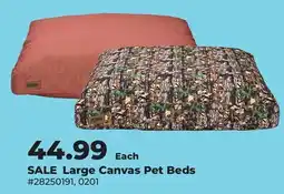 Runnings Main St. Pet Large Canvas Pet Beds offer