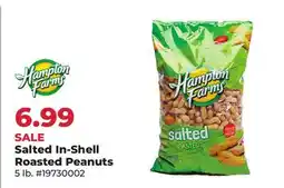 Runnings Hampton Farms Salted In-Shell Roasted Peanuts offer