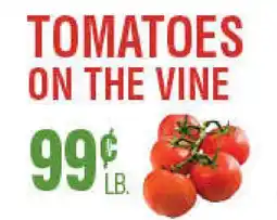 Circus Fruits TOMATOES ON THE VINE offer