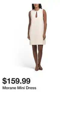 TJ Maxx Morane Mini Dress offer