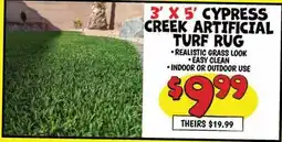Ollie's 3' X 5' CYPRESS CREEK ARTIFICIAL TURF RUG offer