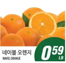 Joong Boo Market 네이블 오렌지 offer