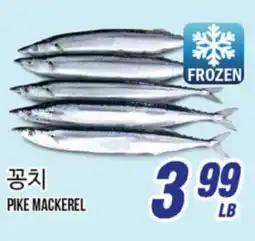 Joong Boo Market PIKE MACKEREL offer