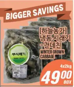 Joong Boo Market WINTER GROWN CABBAGE offer