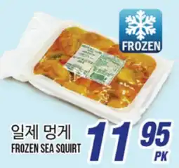 Joong Boo Market FROZEN SEA SQUIRT offer