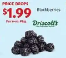 Blackberries