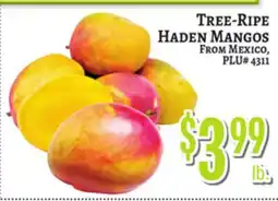Trade Fair Supermarket TREE-RIPE HADEN MANGOS offer