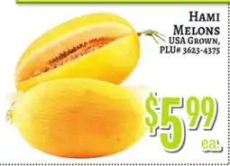 Trade Fair Supermarket HAMM MELONS offer