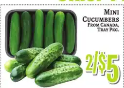Trade Fair Supermarket MINI CUCUMBERS offer