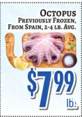 Trade Fair Supermarket OCTOPUS offer