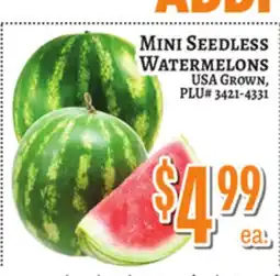 Trade Fair Supermarket MINI SEEDLESS WATERMELONS offer