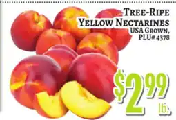 Trade Fair Supermarket TREE-RIPE YELLOW NECTARINES offer
