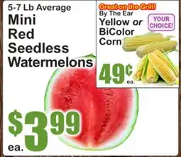 SuperFresh 5-7 Lb Average Mini Red Seedless Watermelons offer