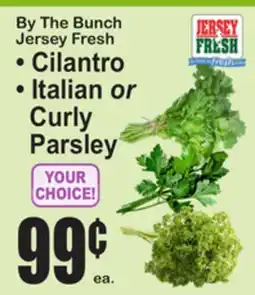 SuperFresh By The Bunch Jersey Fresh Cilantro Italian or Curly Parsley offer