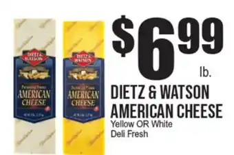 Extra Supermarket DIETZ & WATSON AMERICAN CHEESE offer