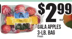 Extra Supermarket GALA APPLES offer
