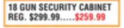 Dunham's Sports 18 GUN SECURITY CABINET offer