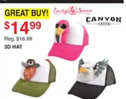 Dunham's Sports CANYON CREEK 3D HAT offer