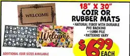 Ollie's 18 X 30 COIR OR RUBBER MATS offer