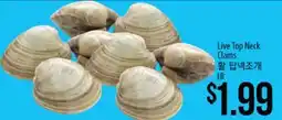 Hmart Live Top Neck Clams offer