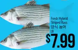 Hmart Fresh Hybrid Striped Bass offer