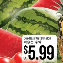 Hmart Seedless Watermelon offer