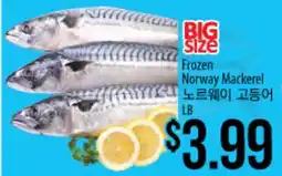 Hmart Frozen Norway Mackerel offer
