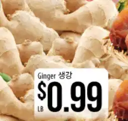 Hmart Ginger offer