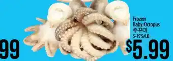 Hmart Frozen Baby Octopus offer
