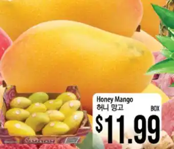 Hmart Honey Mango offer