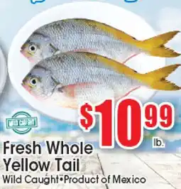 Supremo Foods Inc Fresh Whole Yellow Tail offer