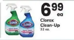 Safeway Clorox Clean-Up offer