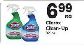 Safeway Clorox Clean-Up offer