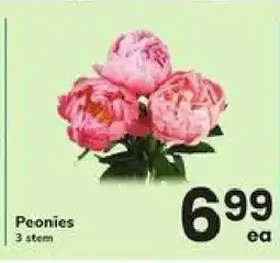 Safeway Peonies offer
