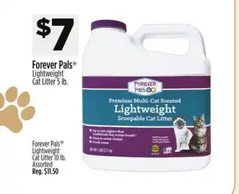 Dollar General Forever Pals Lightweight Cat Litter offer