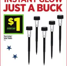 Dollar General True Living Solar Stakes offer