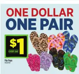 Dollar General Flip Flops offer